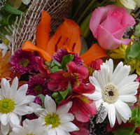 significado das flores