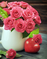 Qual é o significado das Rosas ?