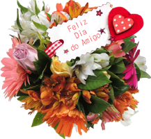 Dia do Amigo | 20 de Julho