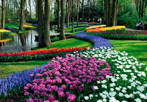 Jardins do Mundo | Keukenhof Lisse Holanda