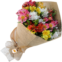 Significado Bouquet de Alstroeméria