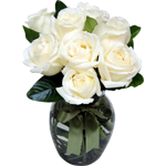 ideia de arranjo para desculpas