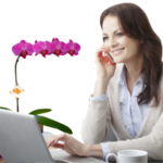 ideias-presente-Orquídeas-branca-roxa