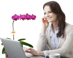 10 Idéias de presente com Orquídeas Branca ou Roxa