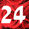 24 Rosas
