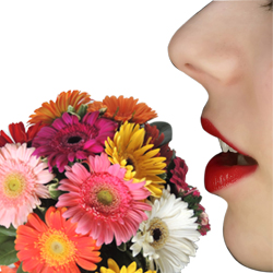 Porque elas amam receber flores ?