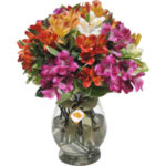 Arranjo alstroemeria para presentear amigo