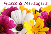 Frases, mensagens e Flores