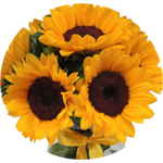 Arranjo Girassol Felicidade