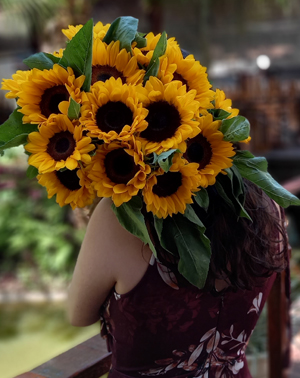 15 Tipos de Girassóis, que talvez você não conheça.