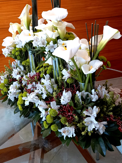 Copo de Leite : Significado ,Características, tipos….