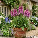 Vaso Dedaleira - Gerado por Gemini Ai